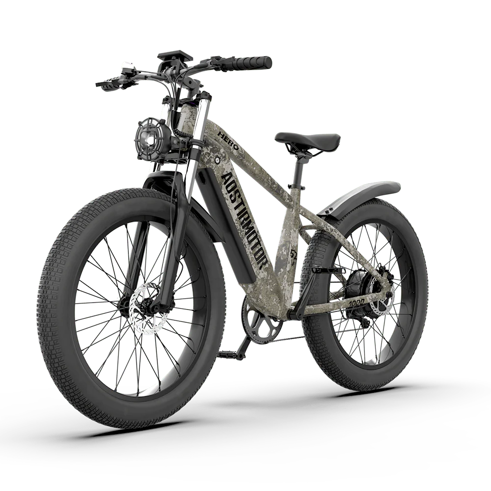 road electric bike