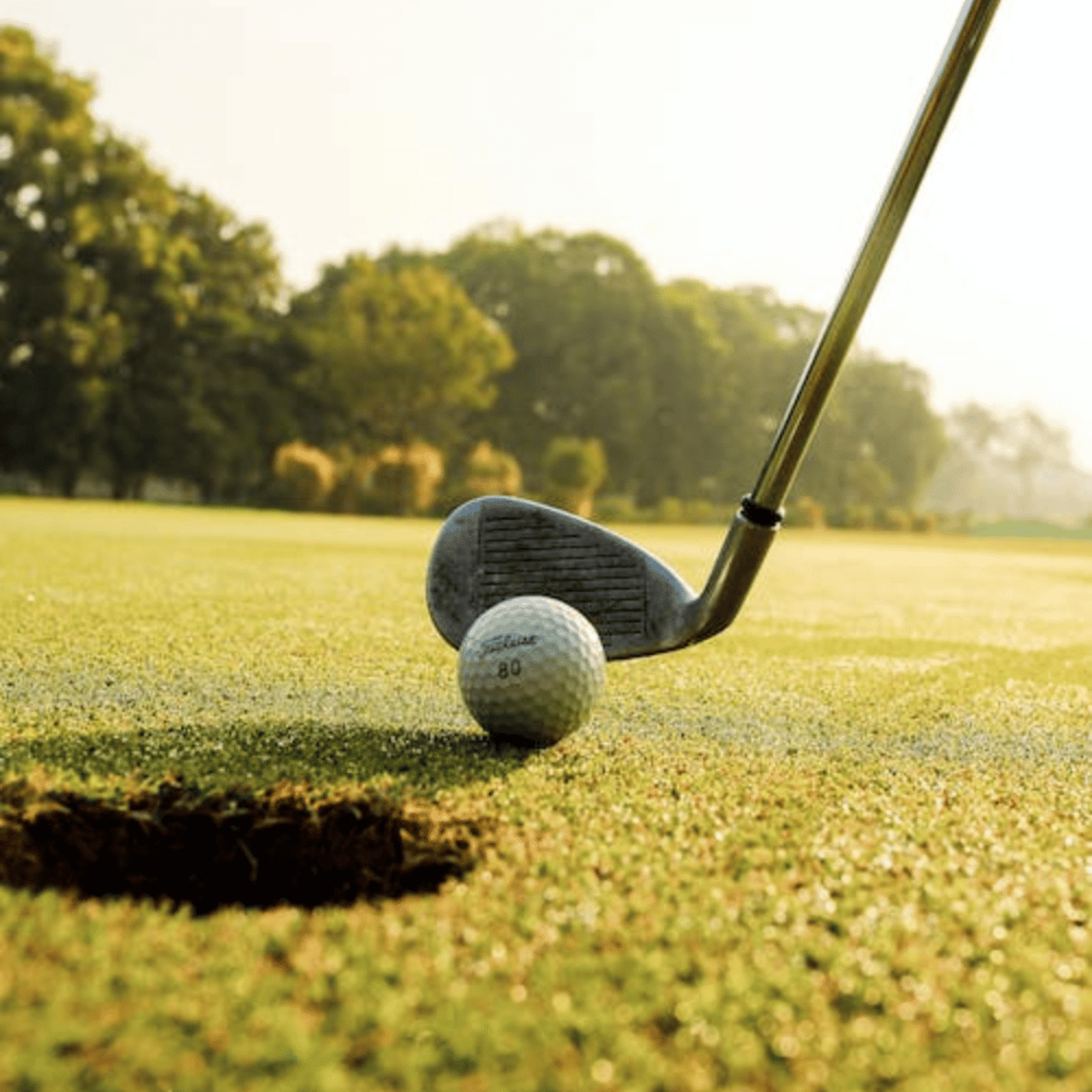 albatross golf