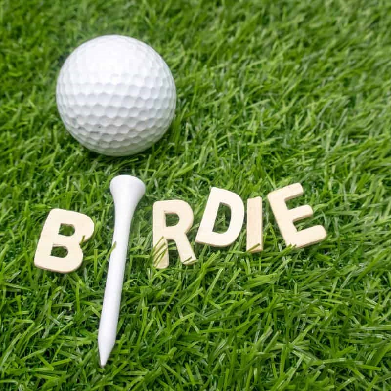 birdie golf