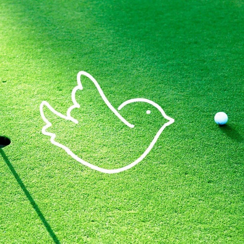 birdie golf