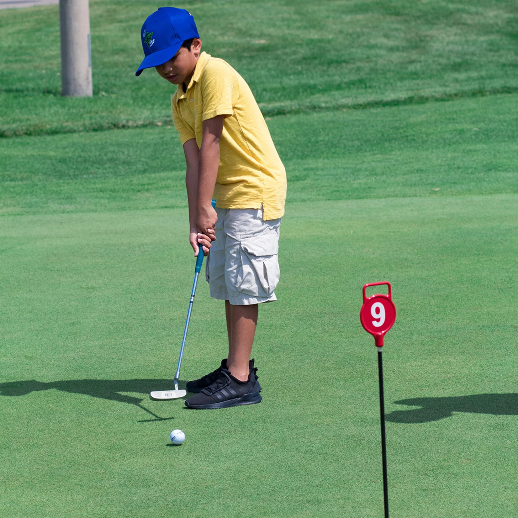 albatross golf