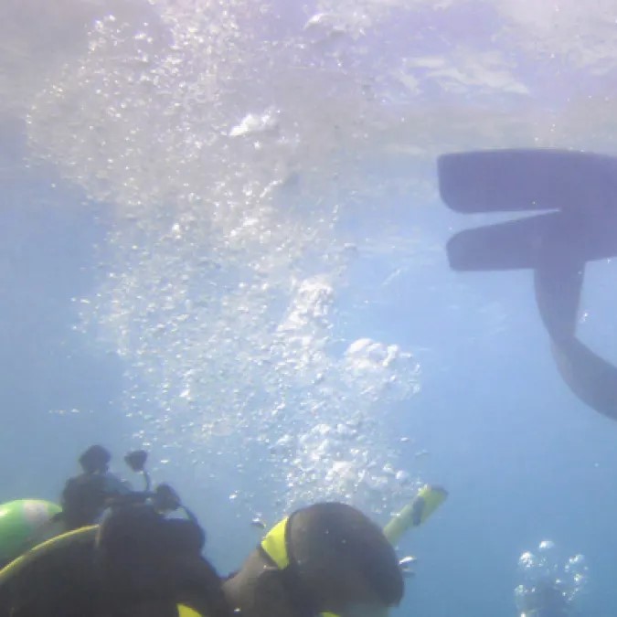 diving accident