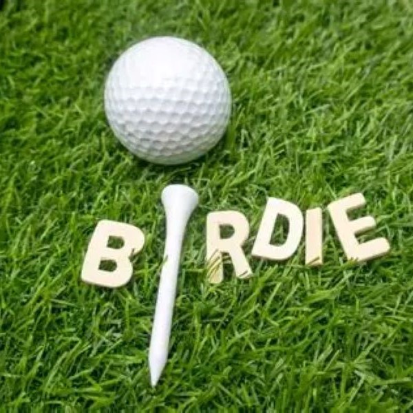 birdie in golf