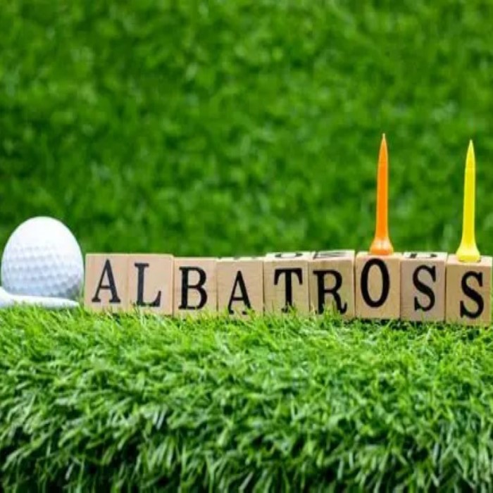 what is an albatross in golf