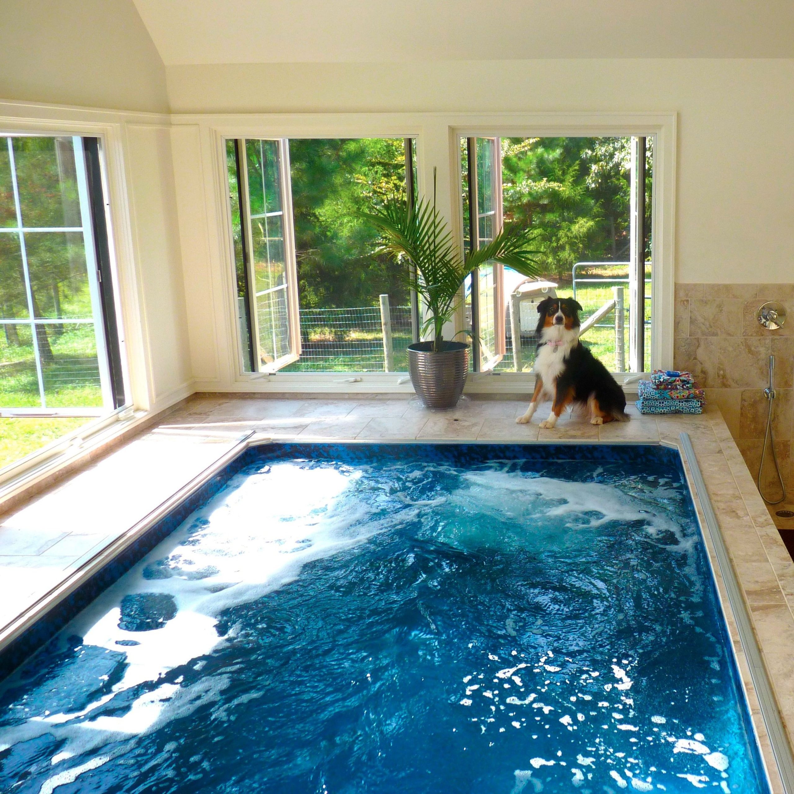 salt water swimming pool